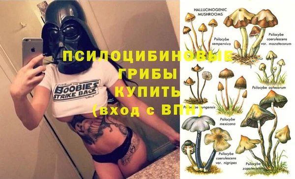 гашиш Арсеньев