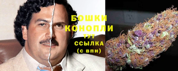 шишки Приозерск