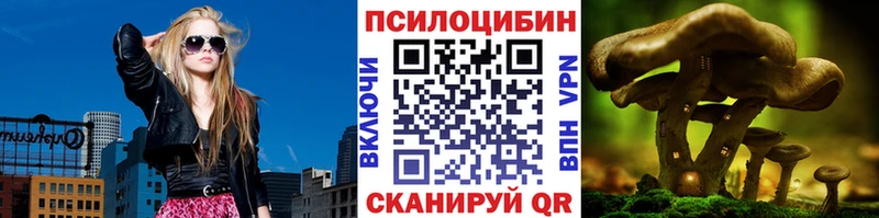 Галлюциногенные грибы Cubensis  Сунжа 